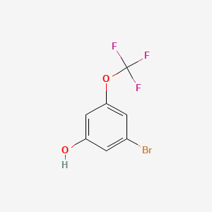 molecular formula C7H4BrF3O2 B598934 3-Bromo-5-(trifluoromethoxy)phenol CAS No. 1197239-47-6