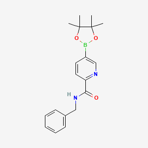 molecular formula C19H23BN2O3 B598979 N-benzyl-5-(4,4,5,5-tetramethyl-1,3,2-dioxaborolan-2-yl)picolinamide CAS No. 1201644-43-0