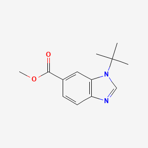 molecular formula C13H16N2O2 B599012 1-叔丁基-1H-苯并[d]咪唑-6-羧酸甲酯 CAS No. 1199773-49-3