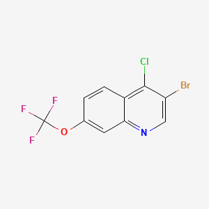 molecular formula C10H4BrClF3NO B599017 3-Bromo-4-chloro-7-(trifluoromethoxy)quinoline CAS No. 1204811-49-3