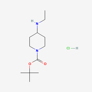 molecular formula C12H25ClN2O2 B599035 tert-Butyl 4-(ethylamino)piperidine-1-carboxylate hydrochloride CAS No. 1203143-06-9