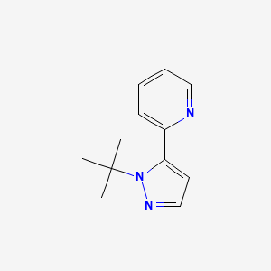 molecular formula C12H15N3 B599092 2-(1-tert-butyl-1H-pyrazol-5-yl)pyridine CAS No. 1204355-56-5