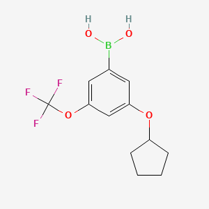 molecular formula C12H14BF3O4 B599163 3-(Cyclopentyloxy)-5-(trifluoromethoxy)phenylboronic acid CAS No. 1256346-04-9