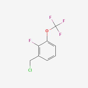 molecular formula C8H5ClF4O B599172 1-(Chloromethyl)-2-fluoro-3-(trifluoromethoxy)benzene CAS No. 1373864-66-4