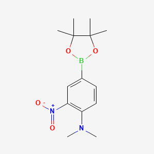 molecular formula C14H21BN2O4 B599207 N,N-Dimethyl-2-nitro-4-(4,4,5,5-tetramethyl-1,3,2-dioxaborolan-2-yl)aniline CAS No. 1218791-24-2