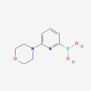 molecular formula C9H13BN2O3 B599208 (6-Morpholinopyridin-2-yl)boronic acid CAS No. 1310385-04-6