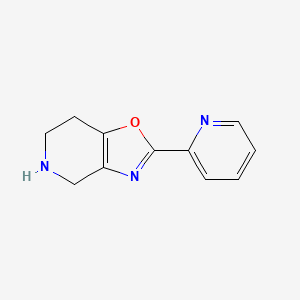 molecular formula C11H11N3O B599217 2-(Pyridin-2-yl)-4,5,6,7-tetrahydrooxazolo[4,5-c]pyridine CAS No. 1246891-69-9