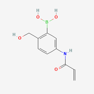 molecular formula C10H12BNO4 B599232 5-丙烯酰胺基-2-(羟甲基)苯基硼酸 CAS No. 1217500-76-9
