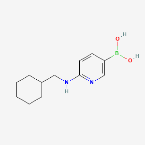 molecular formula C12H19BN2O2 B599247 (6-((环己基甲基)氨基)吡啶-3-基)硼酸 CAS No. 1246743-82-7