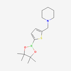 molecular formula C16H26BNO2S B599275 5-(1-Piperidinylmethyl)thiophene-2-boronic acid pinacol ester CAS No. 1218790-44-3