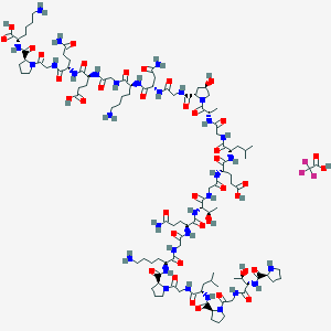 molecular formula C106H174N32O37 B599402 H-Pro-Thr-Gly-Pro-Leu-Gly-Pro-Lys-Gly-Gln-Thr-Gly-Glu-Leu-Gly-Ala-Hyp-Gly-Asn-Lys-Gly-Glu-Gln-Gly-Pro-Lys-OH.TFA CAS No. 144703-90-2