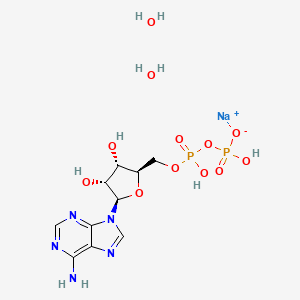 molecular formula C10H19N5NaO12P2 B599482 Adenosine5-diphosphate,monosodiumsaltdihydrate CAS No. 125567-28-4