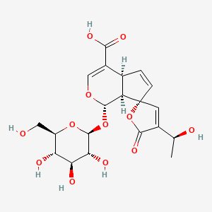 molecular formula C20H24O12 B599551 15-Demethylplumieride 