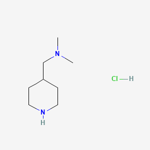 molecular formula C8H19ClN2 B599567 N,N-dimethyl-1-(piperidin-4-yl)methanamine hydrochloride CAS No. 172281-93-5