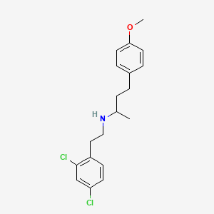 molecular formula C19H23Cl2NO B5997317 N-[2-(2,4-dichlorophenyl)ethyl]-4-(4-methoxyphenyl)-2-butanamine 