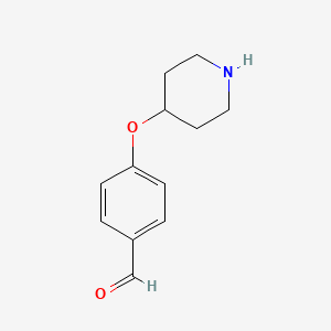 molecular formula C12H15NO2 B599752 4-Piperidin-4-yloxybenzaldehyde CAS No. 199103-27-0