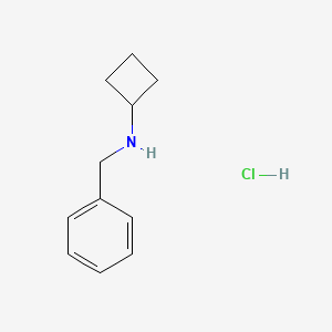 molecular formula C11H16ClN B599802 Benzyl-cyclobutyl-amine hydrochloride CAS No. 120218-46-4