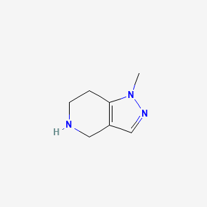 molecular formula C7H11N3 B600037 1-methyl-4,5,6,7-tetrahydro-1H-pyrazolo[4,3-c]pyridine CAS No. 100501-58-4