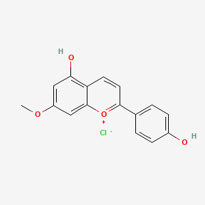 molecular formula C16H13ClO4 B600079 Methoxyapigeninidin chloride, 7-(RG) CAS No. 161773-51-9