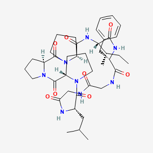 molecular formula C40H58N8O8 B600086 Heterophyllin B 