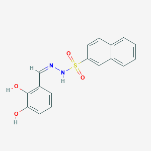 molecular formula C17H14N2O4S B6002253 N'-(2,3-dihydroxybenzylidene)-2-naphthalenesulfonohydrazide 