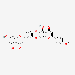 molecular formula C32H22O10 B600281 6-[4-(5,7-Dihydroxy-4-oxochromen-2-yl)phenoxy]-5-hydroxy-7-methoxy-2-(4-methoxyphenyl)chromen-4-one CAS No. 22012-98-2