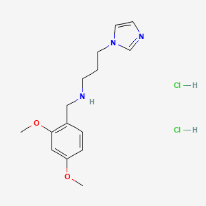 molecular formula C15H23Cl2N3O2 B6004223 N-[(2,4-dimethoxyphenyl)methyl]-3-imidazol-1-ylpropan-1-amine;dihydrochloride 