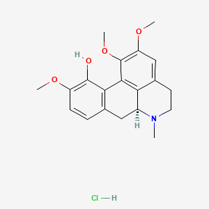 molecular formula C20H24ClNO4 B600508 Isocorydine hydrochloride CAS No. 13552-72-2