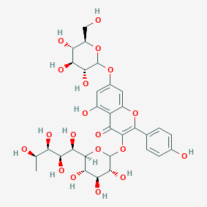 molecular formula C33H40O20 B600534 Kaempferol-3-rhamnoglucoside-7-glucoside CAS No. 34336-18-0