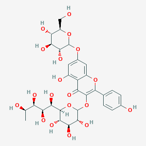 Kaempferol-3-rhamnoglucoside-7-glucoside