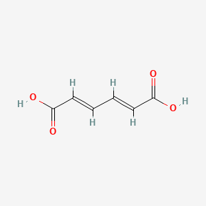 molecular formula C6H6O4 B600596 trans,trans-Muconic acid CAS No. 3588-17-8