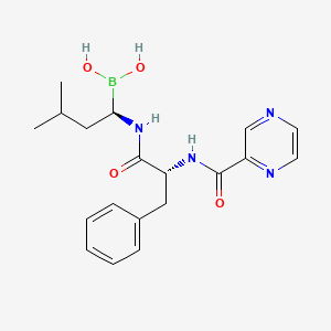 molecular formula C19H25BN4O4 B601035 ((R)-3-Methyl-1-((R)-3-phenyl-2-(pyrazine-2-carboxamido)propanamido)butyl)boronic acid CAS No. 1132709-15-9