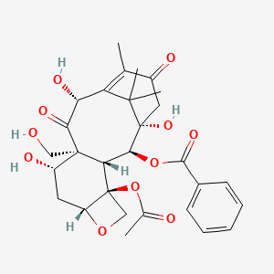 molecular formula C29H36O11 B601411 19-hydroxy-10-deacetylbaccatin III CAS No. 154083-99-5