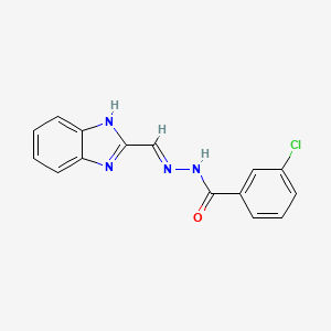 molecular formula C15H11ClN4O B6014808 N'-[(E)-1H-benzimidazol-2-ylmethylidene]-3-chlorobenzohydrazide 