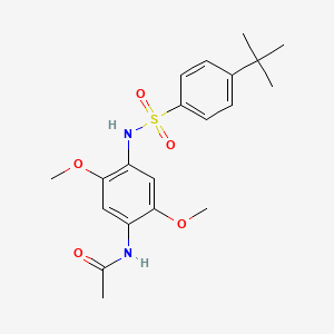 molecular formula C20H26N2O5S B6016308 N-[4-[(4-tert-butylphenyl)sulfonylamino]-2,5-dimethoxyphenyl]acetamide 
