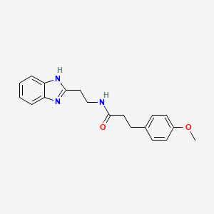 molecular formula C19H21N3O2 B6017813 N-[2-(1H-benzimidazol-2-yl)ethyl]-3-(4-methoxyphenyl)propanamide 