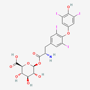 Levothyroxine Acyl Glucuronide