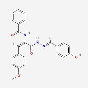 molecular formula C24H21N3O4 B6022991 N-[(E)-3-[(2E)-2-[(4-hydroxyphenyl)methylidene]hydrazinyl]-1-(4-methoxyphenyl)-3-oxoprop-1-en-2-yl]benzamide 