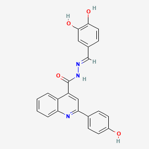 molecular formula C23H17N3O4 B6023422 N'-(3,4-dihydroxybenzylidene)-2-(4-hydroxyphenyl)-4-quinolinecarbohydrazide 