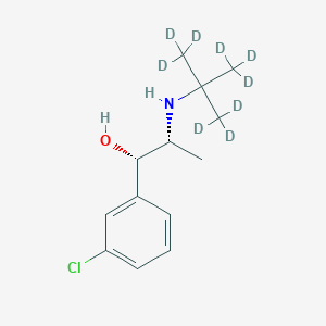 molecular formula C13H11D9ClNO B602590 rac erythro-Dihydro Bupropion-d9 CAS No. 1217684-77-9