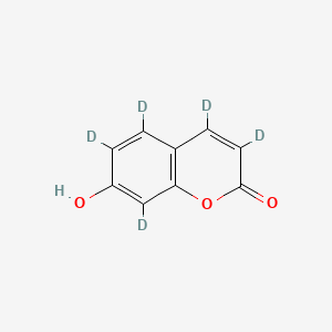 molecular formula C9HD5O3 B602616 3,4,5,6,8-Pentadeuterio-7-hydroxychromen-2-one CAS No. 1215373-23-1