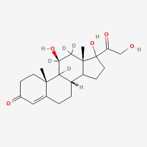 molecular formula C21H26D4O5 B602619 Cortisol-9,11,12,12-d4 CAS No. 73565-87-4