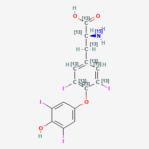 molecular formula C15H11I4NO4 B602736 L-Thyroxine-13C6,15N 