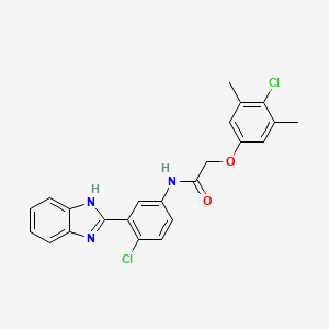 molecular formula C23H19Cl2N3O2 B6031050 N-[3-(1H-1,3-BENZODIAZOL-2-YL)-4-CHLOROPHENYL]-2-(4-CHLORO-3,5-DIMETHYLPHENOXY)ACETAMIDE 