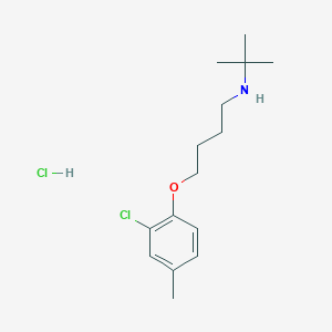 molecular formula C15H25Cl2NO B6031727 N-tert-butyl-4-(2-chloro-4-methylphenoxy)butan-1-amine;hydrochloride 