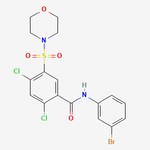 molecular formula C17H15BrCl2N2O4S B6032853 N-(3-bromophenyl)-2,4-dichloro-5-morpholin-4-ylsulfonylbenzamide CAS No. 5346-88-3