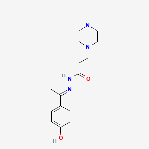 molecular formula C16H24N4O2 B6033849 N-[(E)-1-(4-hydroxyphenyl)ethylideneamino]-3-(4-methylpiperazin-1-yl)propanamide 