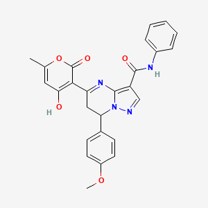 B603553 5-(4-hydroxy-6-methyl-2-oxo-2H-pyran-3-yl)-7-(4-methoxyphenyl)-N-phenyl-6,7-dihydropyrazolo[1,5-a]pyrimidine-3-carboxamide CAS No. 903859-88-1