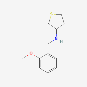 molecular formula C12H17NOS B6039917 N-[(2-methoxyphenyl)methyl]thiolan-3-amine 