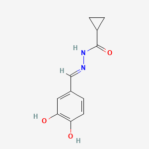 molecular formula C11H12N2O3 B604688 N'-(3,4-dihydroxybenzylidene)cyclopropanecarbohydrazide CAS No. 503025-31-8